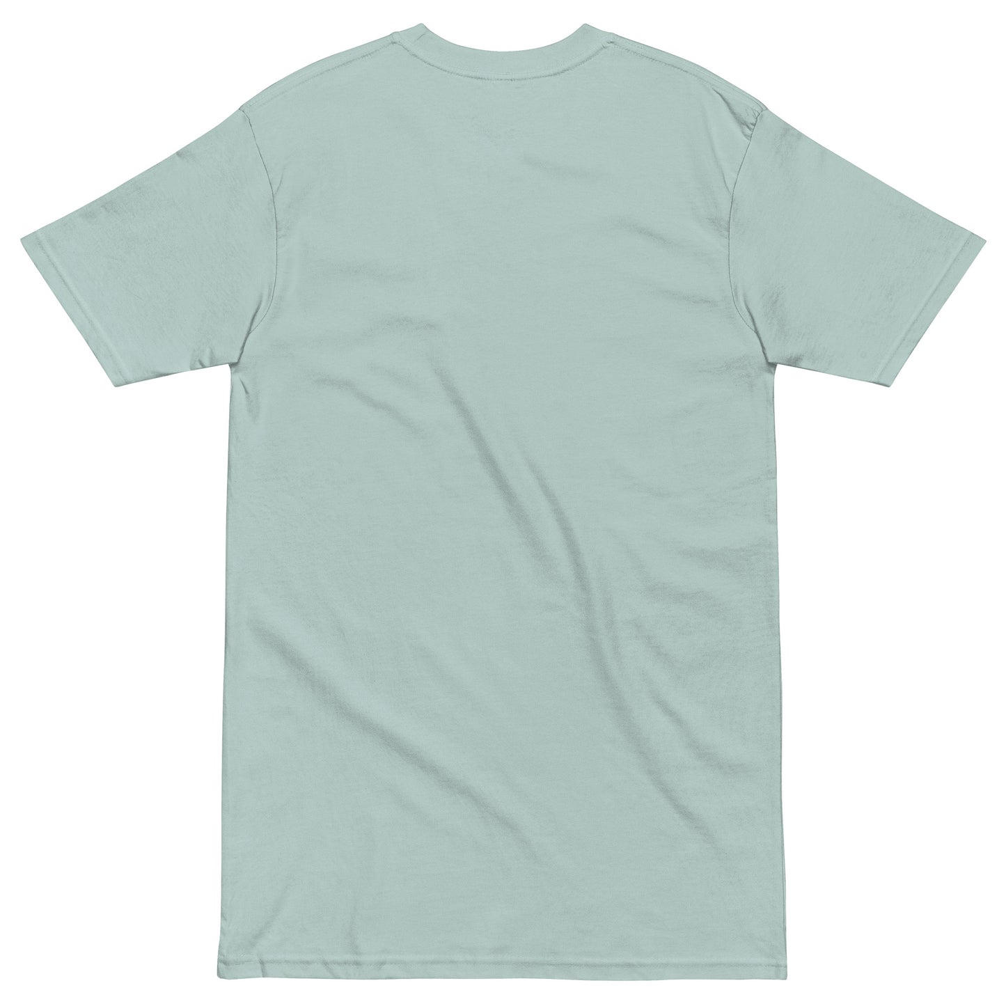 Men's premium heavyweight T-shirt in agave color from Wayward.biz, showing the back view with a comfortable fit.