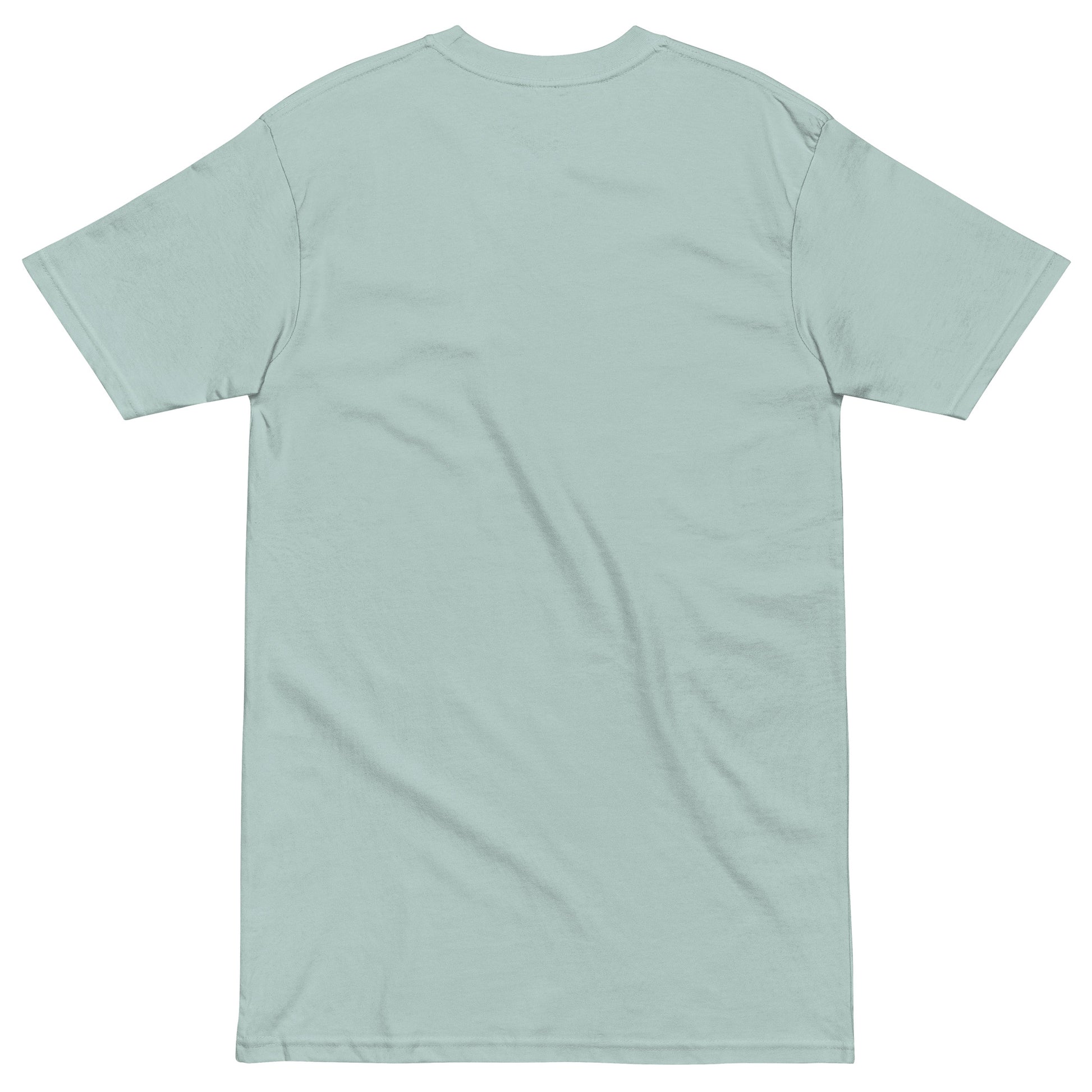 Men's premium heavyweight T-shirt in agave color from Wayward.biz, showing the back view with a comfortable fit.