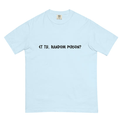 Unisex garment-dyed heavyweight chambray T-shirt from wayward.biz, showing front view with a casual fit and soft fabric texture.