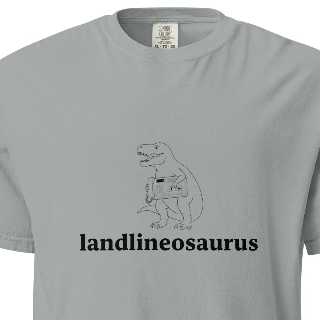 Unisex Landlineosaurus heavyweight garment-dyed T-shirt in granite color, front view showing soft fabric and relaxed fit.
