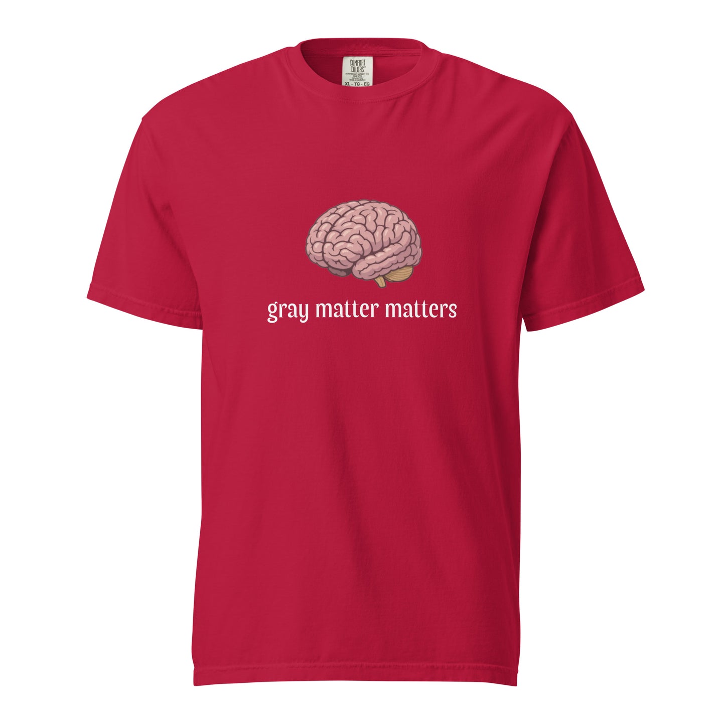 Gray Matter Matters unisex garment-dyed heavyweight t-shirt in dark gray, shown front view with red graphic design.