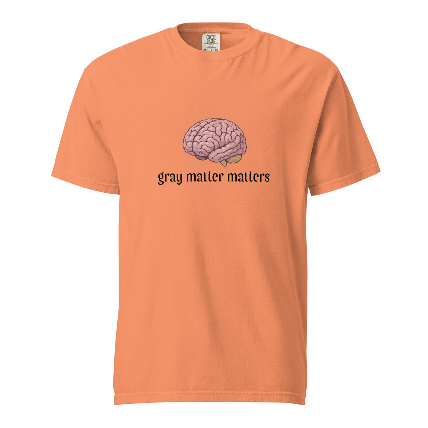 Gray Matter Matters unisex garment-dyed heavyweight T-shirt in light gray, front view showing soft, durable fabric and classic fit.