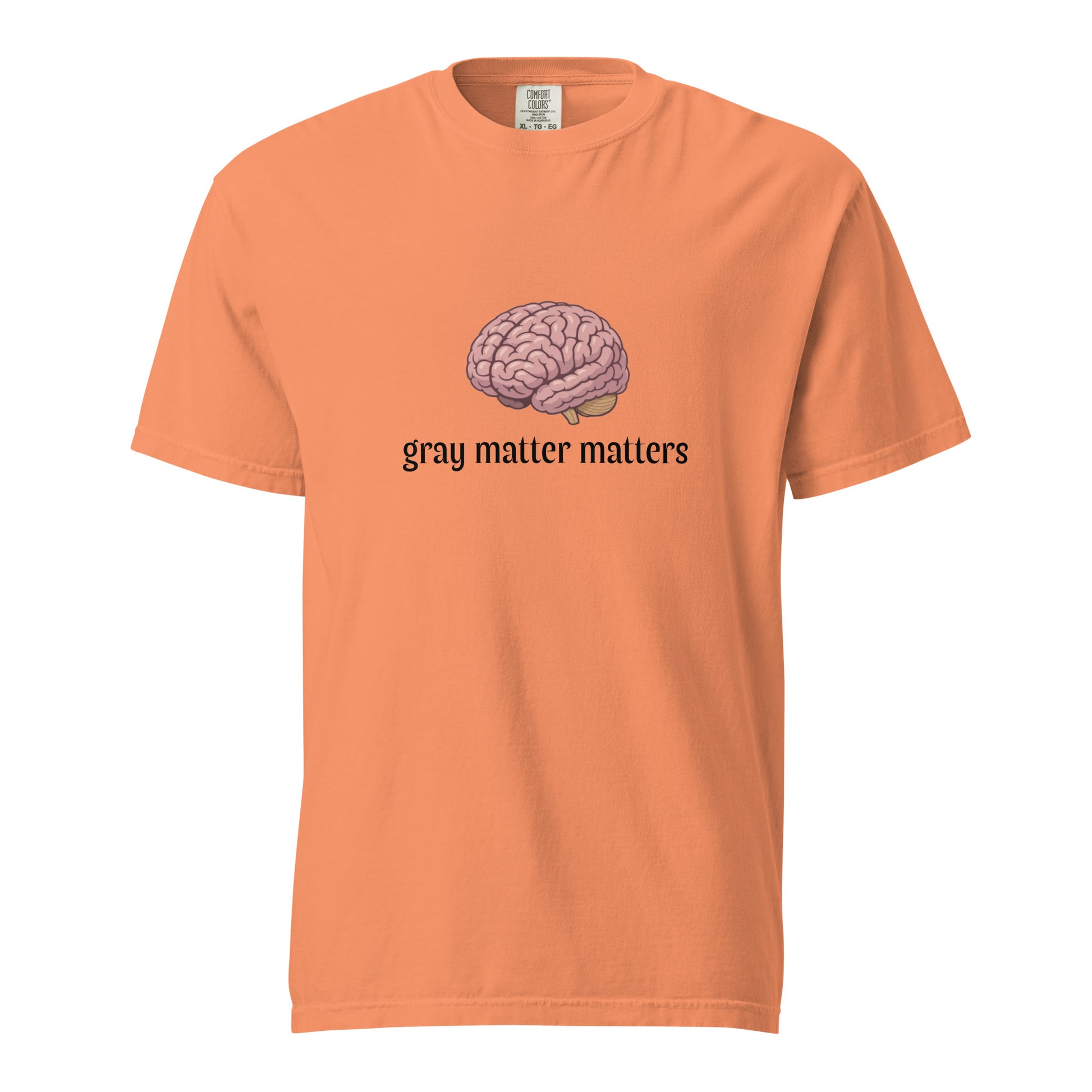 Gray Matter Matters unisex garment-dyed heavyweight T-shirt in light gray, front view showing soft, durable fabric and classic fit.