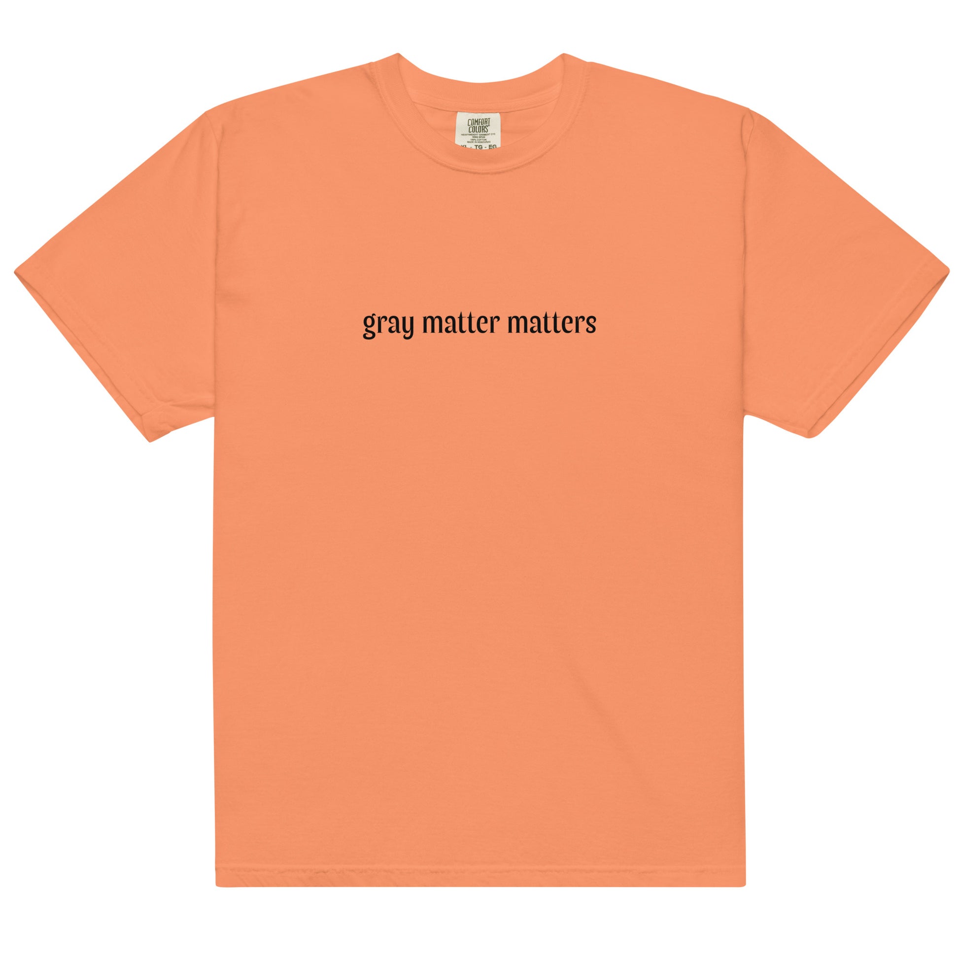 Unisex gray Matter Matters heavyweight garment-dyed T-shirt by wayward.biz, front view showing soft fabric and casual fit.