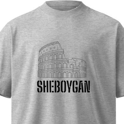 Unisex organic oversized high neck T-shirt in heather grey from wayward.biz, featuring a relaxed fit and modern high neckline.
