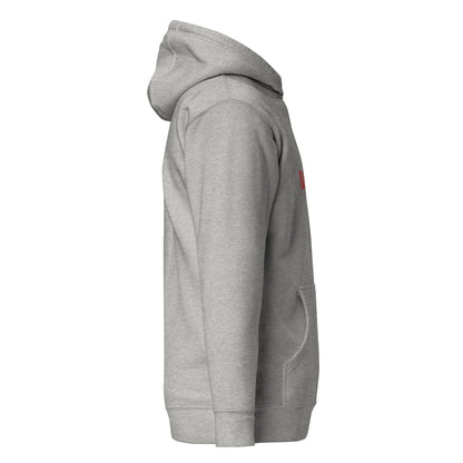 Unisex NADA hoodie by wayward.biz in premium carbon grey pullover style, showcasing a comfortable, casual hoodie design.