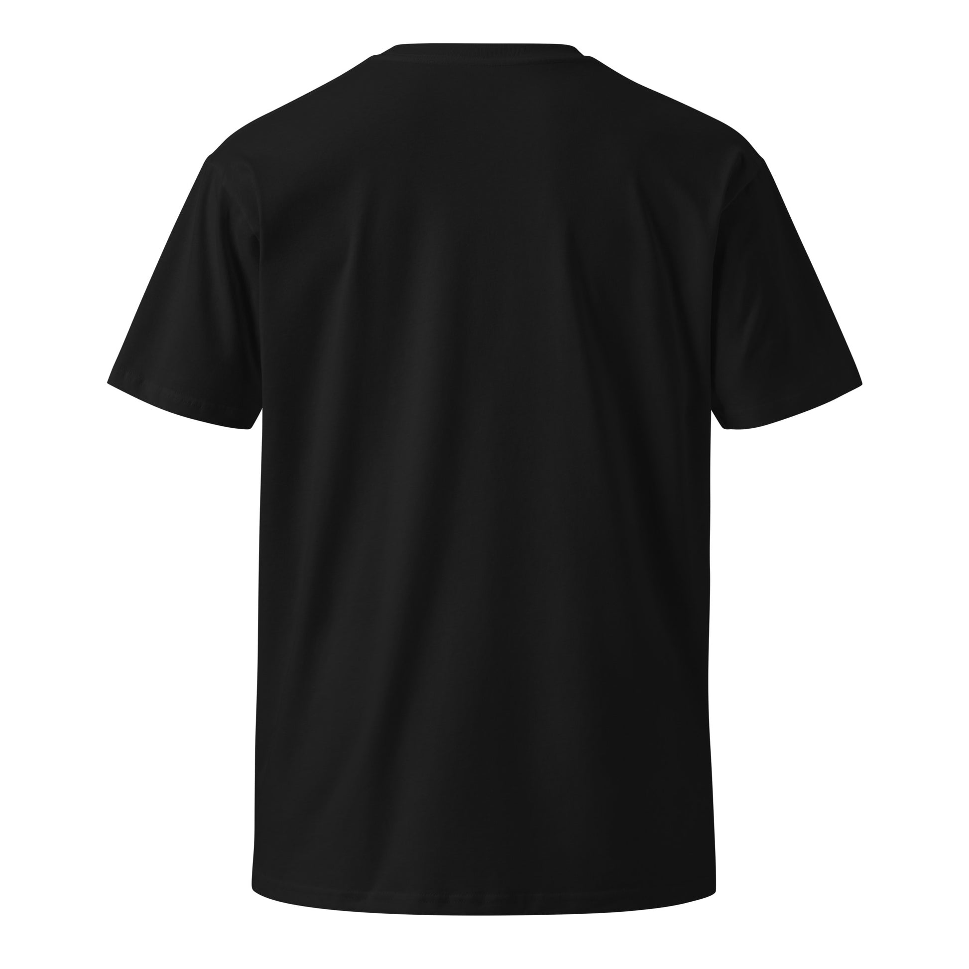 Unisex black premium T-shirt from Dietz Computer Systeme by wayward.biz, showing the back design and fit.