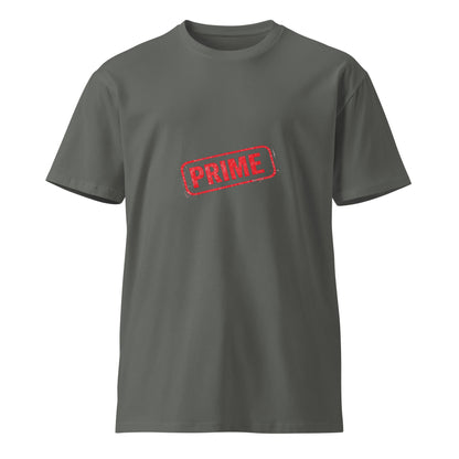 Unisex charcoal Prime premium T-shirt by wayward.biz, front view showcasing a comfortable fit and modern design.