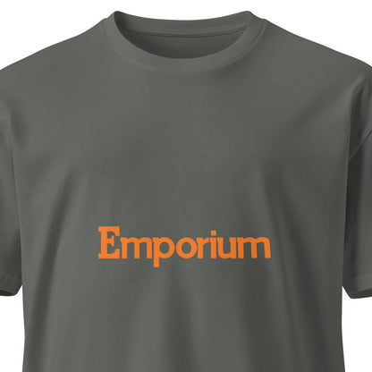 Unisex charcoal premium T-shirt from Wayward.biz with a front view, soft fabric and modern fit, ideal for casual wear.